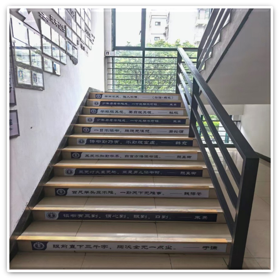 新澳门六合彩资料库