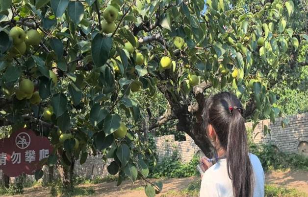 新澳门六合彩资料库