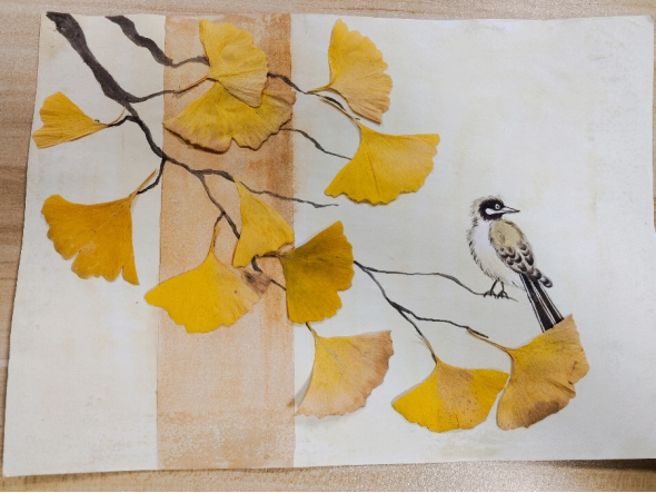 新澳门六合彩资料库