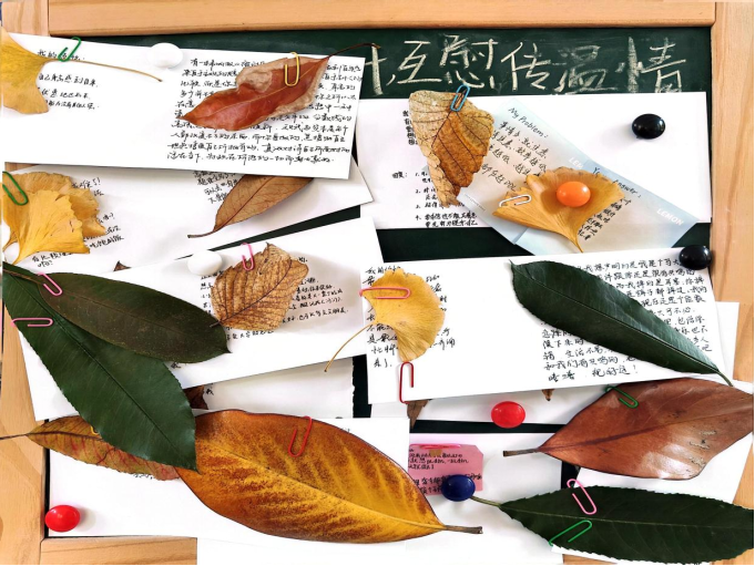 新澳门六合彩资料库