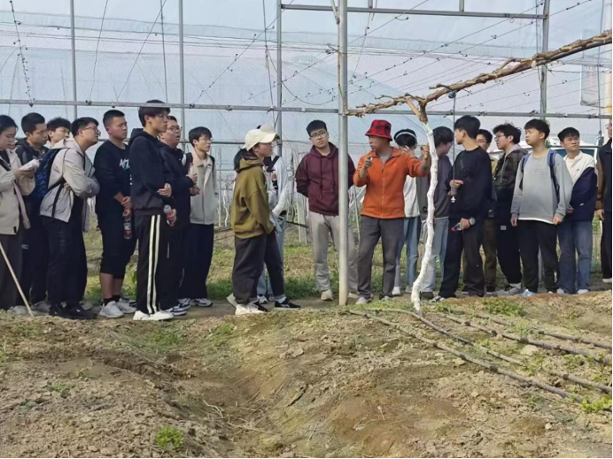 新澳门六合彩资料库