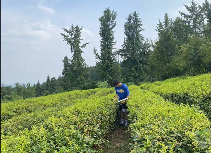 新澳门六合彩资料库