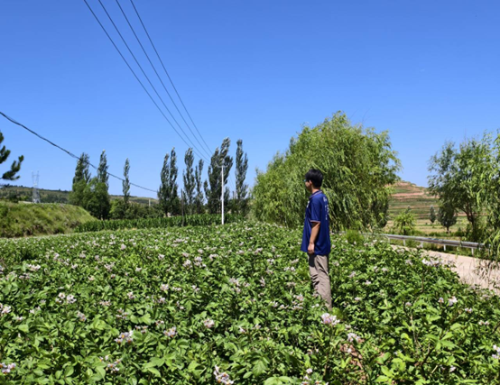 新澳门六合彩资料库