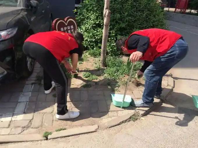 新澳门六合彩资料库