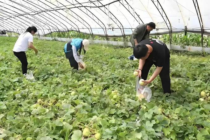 新澳门六合彩资料库