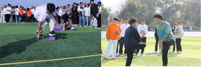 新澳门六合彩资料库